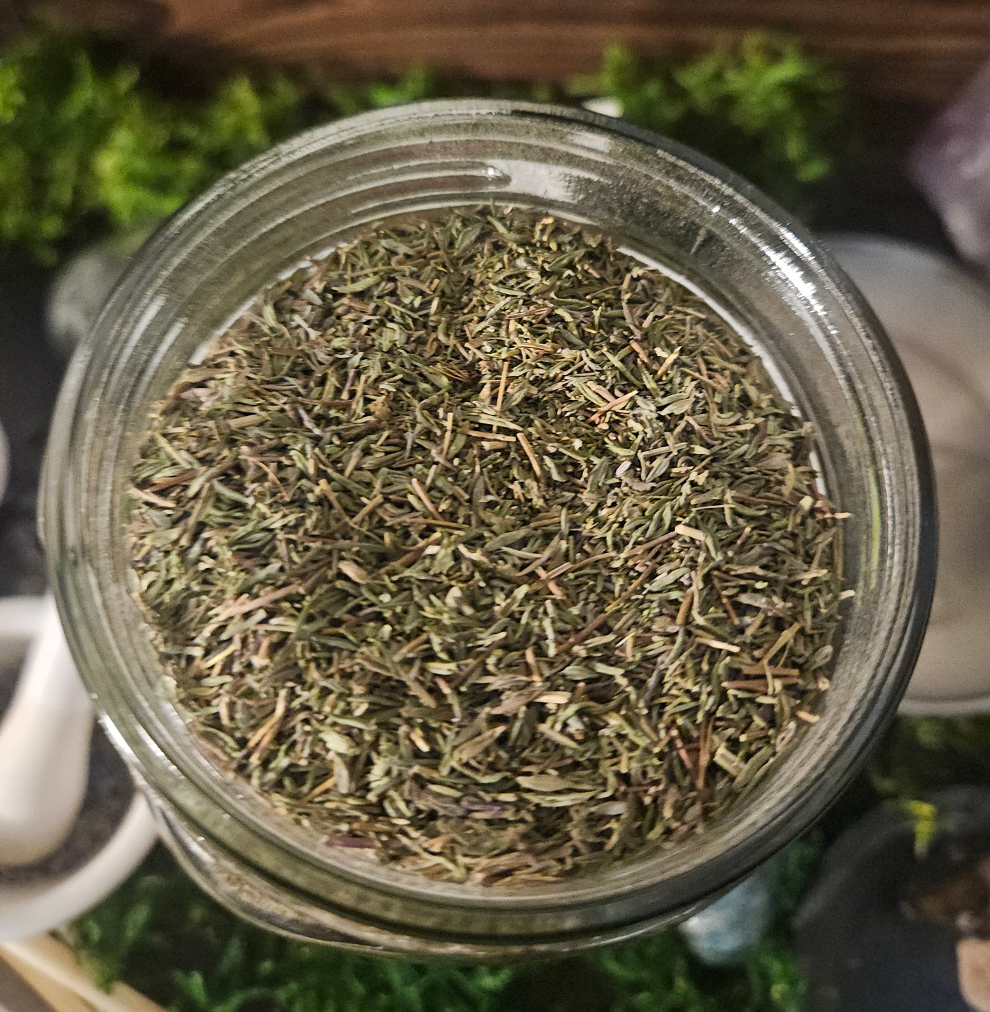 Thyme (Thymus Vulgaris)